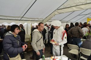remise_de_la_fourragere_58.jpg - JPEG - 73.5 ko - 960×636 px