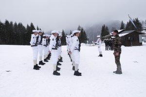 fourragere-rca-corbier-dec18_copyright_yvan_tisseyre-otva__2_.jpg - JPEG - 1.2 Mo - 5448×3637 px